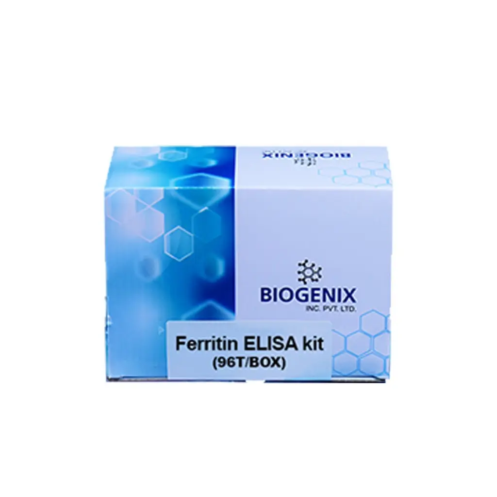 ferritin-elisa-kit.webp