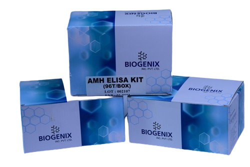 AMH ELISA KIT