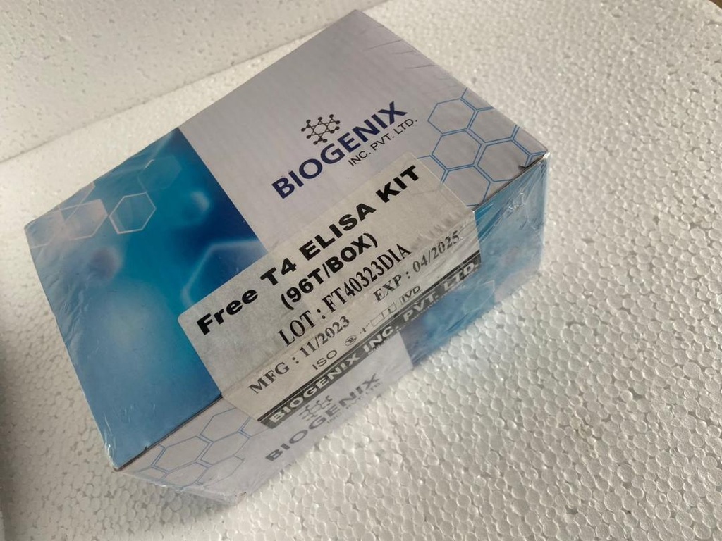 FT4 ELISA KIT