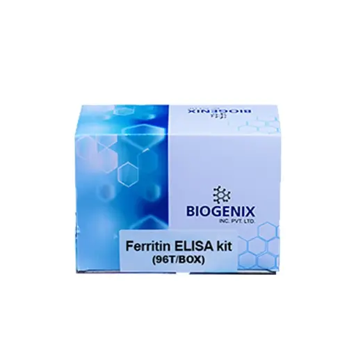 Ferritin