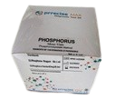 Phosphorus Monovial